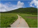 Planina (Dolnja Planina) - Hunting cottage on Planinska gora